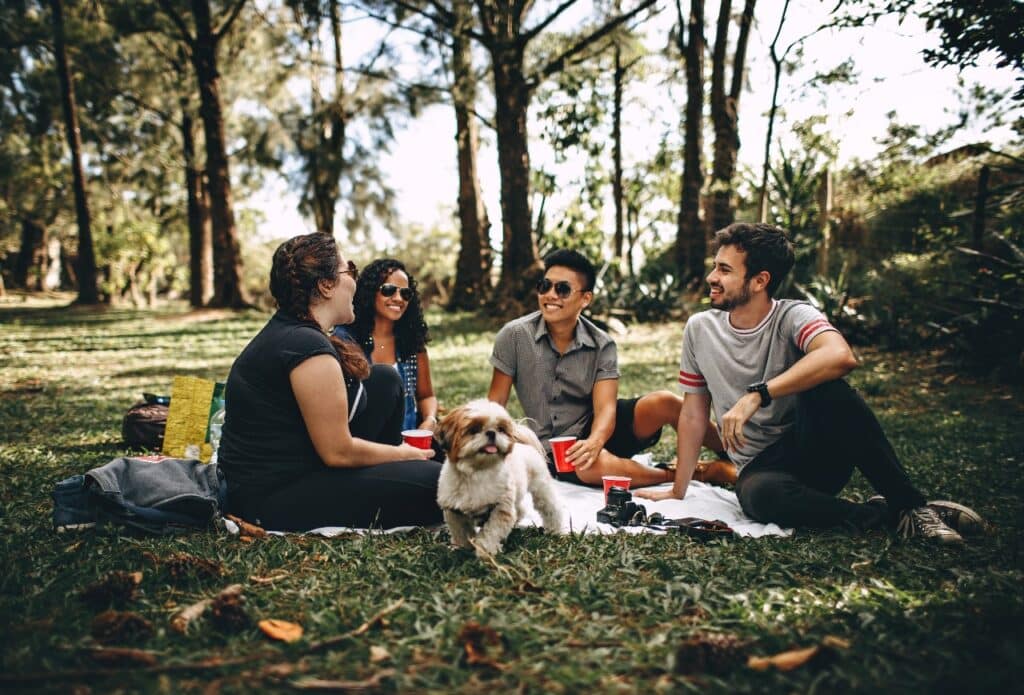 College students sitting on a blanket in the park with a dog