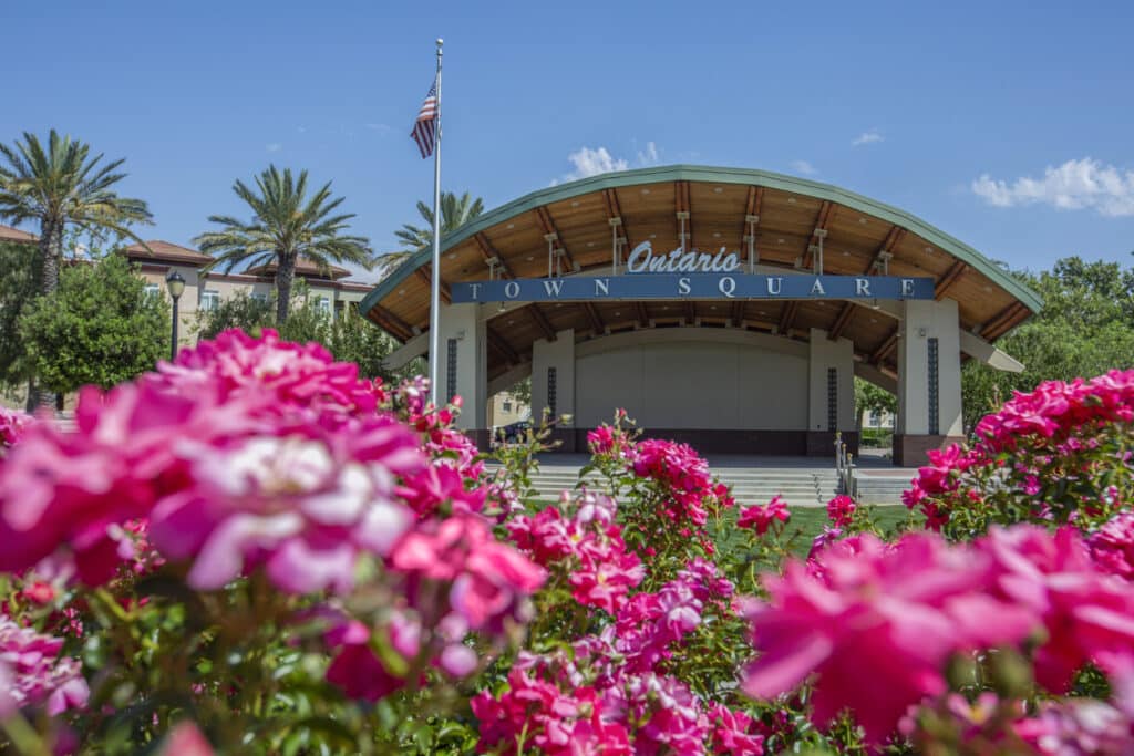 Ontario Town Square amphitheater in the civic center area. featuring close up pink flowers, palm trees and a american flag