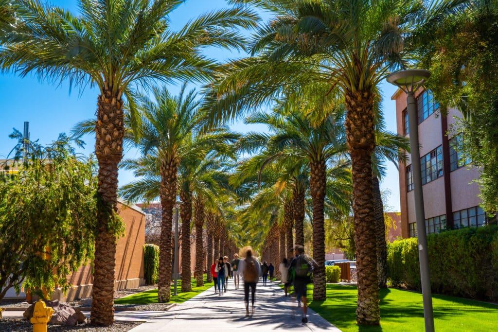 Palm Walk in Arizona State University campus in Tempe.